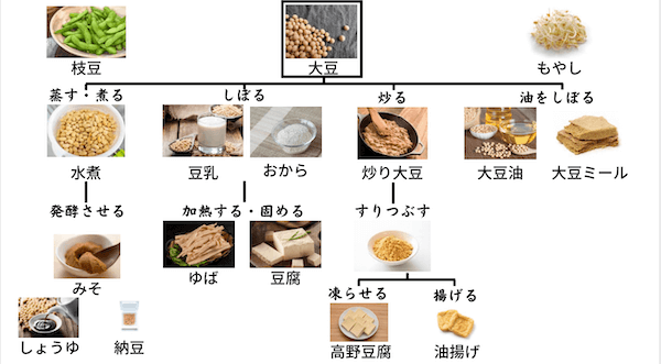 大豆の加工食品マップ