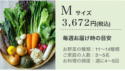 野菜セットMサイズ
